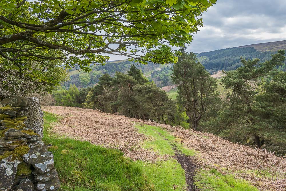 Foxlow Edge Foxlow Edge